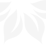 Hautstraffung mit PlasmaPen